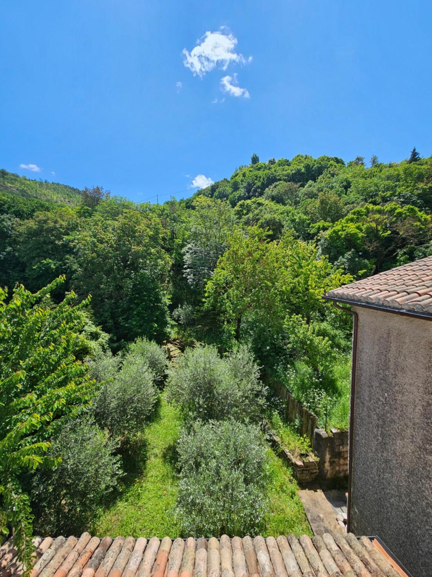 La Rosa Dei Venti - Country House Fossato di Vico Eksteriør billede